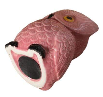 Hibou Tirelire | Animaux de la Forêt