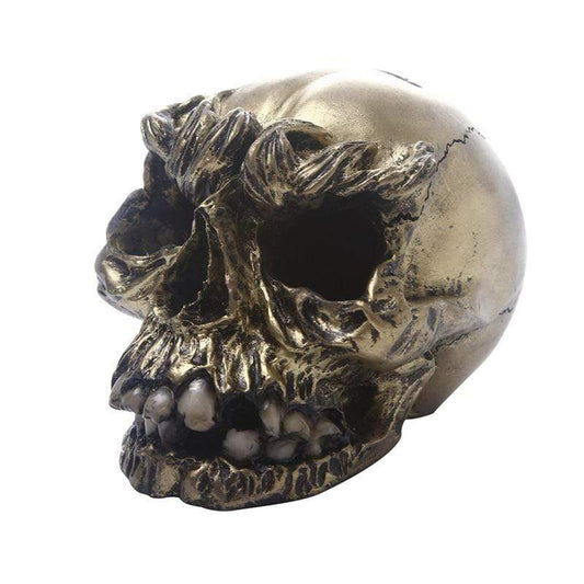 Tirelire Crâne Morbide | Collection Gothique