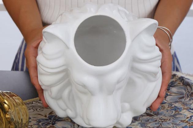 Tirelire Roi Lion | Animaux Sauvages