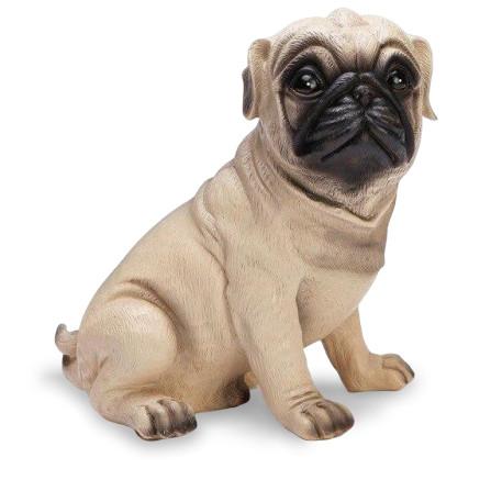 Tirelire Carlin | Animaux de Compagnie